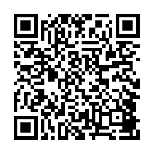 他们想破脑袋也不会想到有陈国的人来军营救人二维码生成