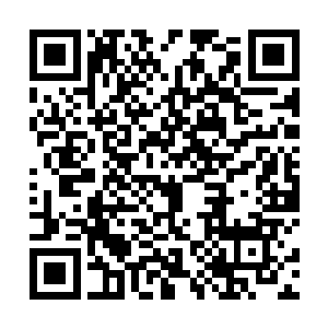 他们想要做的就是彻底的将这个恐怖的血色的光罩轰烂二维码生成