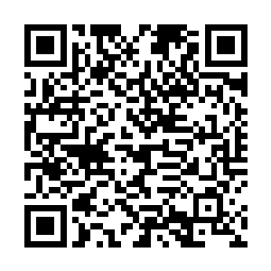 他们感觉自己仿佛是掉入到了无尽的森罗地狱之中一样二维码生成