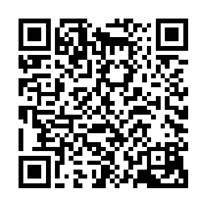 他们成为了有数几个前来威尼斯电影节报道颁奖典礼的团队之一二维码生成