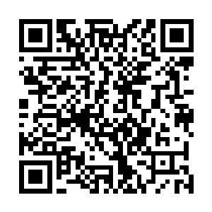 他们或许真的可以进入其中继承来自远祖的圣灵本源之力二维码生成