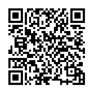 他们手中法宝能够发挥出来的威能跟在外界时的情况相比二维码生成