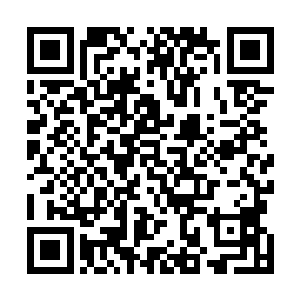 他们手底下的那些公子哥和小姐们可都是手上沾过血的人二维码生成