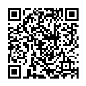 他们才发现眼前的人为什么有资格来当他们的老师二维码生成
