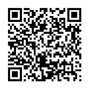 他们打死也不会愿意到一个陌生的国度重新开始生活二维码生成