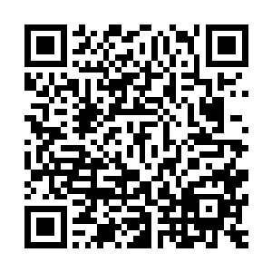 他们打死也不相信眼前的少女和刚才的狠辣的恶魔是同一个人二维码生成