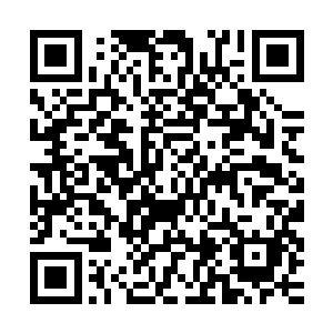他们担心的是沈凡几人背后的半步生死境强者甚至是生死境强者二维码生成