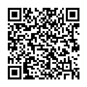 他们担心的是那些混在血雾之中的其他怪物会不会趁机动手二维码生成