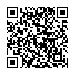 他们推出的真气盾壁立刻被尖锐的剑气撕出一个突破口二维码生成