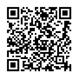 他们搞出这样的阵仗出来就是为了制造混乱想把自己逼出来二维码生成