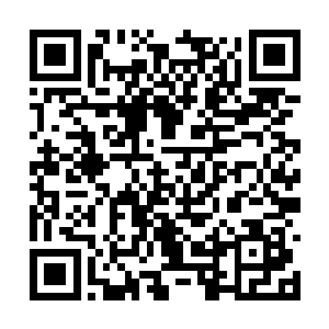 他们故意引他们来就是为了让王屠穷再次转移记忆二维码生成