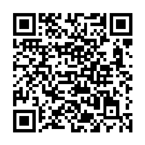 他们族长大人之前命令所有人不要跟凌菲说飞达的事情二维码生成