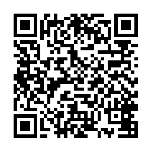 他们早就知道儿子在外面认识了一个风华绝代的才女二维码生成