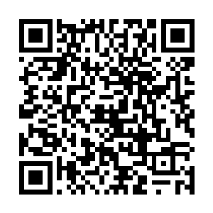 他们明明储存了对这个世界来说也堪称庞大的火焰力量二维码生成