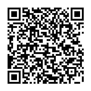 他们是追随夜之王在永夜中帮助人类和其他生灵抵挡恶毒的蛮荒魔物的强者二维码生成