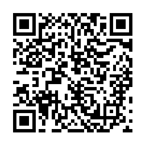 他们显然并不认为那个巨臂怪物能够挡住星王这绝杀一剑二维码生成