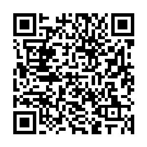 他们最后看到的只是黑玲公主的胸口上多了一个血窟窿二维码生成