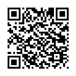 他们有什么就会让太上大长老去说二维码生成