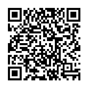 他们来这里只是想知道……谁才是强者中的最强者二维码生成