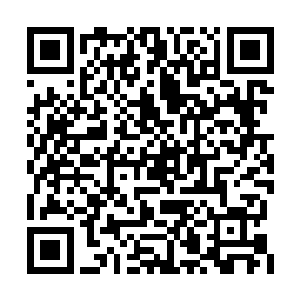 他们极有可能在几十万年的漫长冬眠中直接死去二维码生成