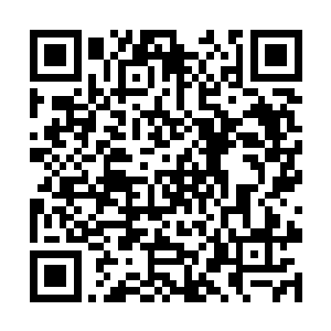 他们极有可能就是被策略家马克洛夫斯基所收买的人二维码生成
