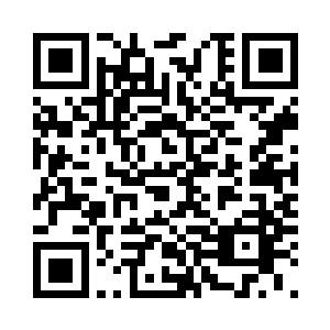 他们根本就不怕吴岩这小小一个散修二维码生成