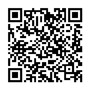 他们根本就没听说过一招可以灭杀五十万人的存在啊二维码生成