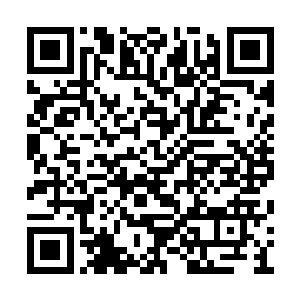 他们根本就没有反应过来灰衣老者就直接陨落了二维码生成