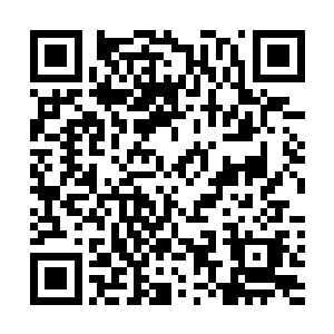 他们根本没有丝毫的优势可以从这些巨齿鼠的包围中逃脱二维码生成