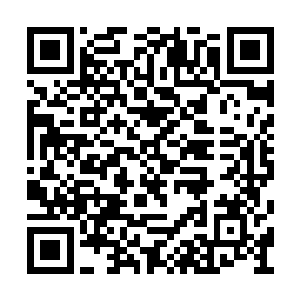 他们格拉克罗多人是由植物进化而来的智慧生命二维码生成