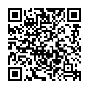 他们欺负妈妈欺负林爷爷欺负秦爷爷还欺负我――爸爸二维码生成