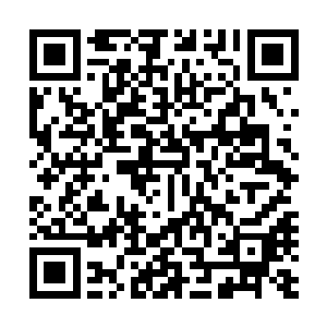 他们正好就捕捉到了王靖雪女王范儿爆棚的那个冷艳的侧脸二维码生成