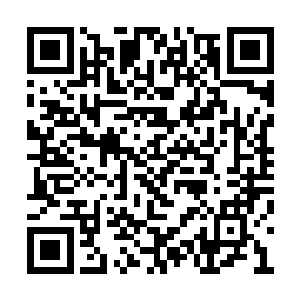 他们此刻正被人以十分屈辱的方式压着跪在地面二维码生成