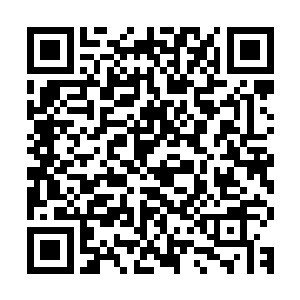 他们此刻面对眼神仿似乎要杀人一般的向他们盯来的颜知守先生二维码生成
