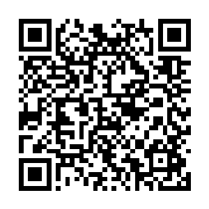 他们此时才发现原来顶级神高手也不是无所不能的二维码生成