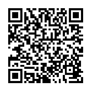 他们每一位在格森王国内都享有非常崇高的地位二维码生成