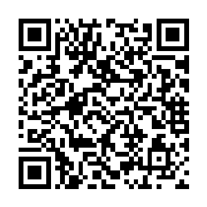 他们每人的手中都拿着一条剑尘给他们的空间腰带二维码生成