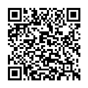 他们每天都要聚集在这里商议一下领地内的事情二维码生成