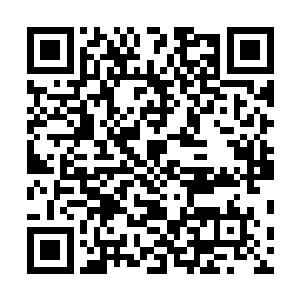 他们没必要花那么大的代价布下阵法保护里面的那座阵法二维码生成