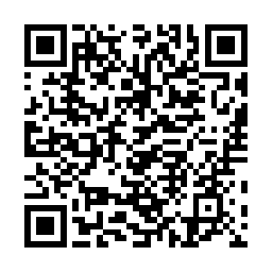 他们没想到一个个小小的平安医馆居然会有这样大的阵仗二维码生成