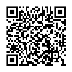 他们没想到之前那个搞怪的家伙下手居然这么狠二维码生成