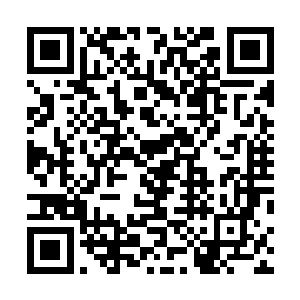 他们没想到自己刚刚来到中三界就会遇到如此强大的高手二维码生成