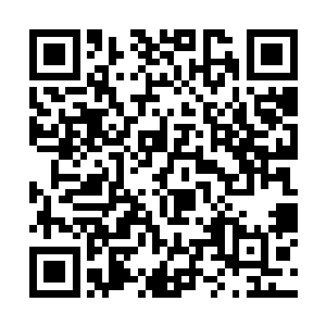 他们没想到自己大人愿意投靠一个在军阀战争失败后二维码生成