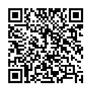 他们没有想到火蛇族居然把所有底蕴都拿出来为了斩杀叶楚二维码生成