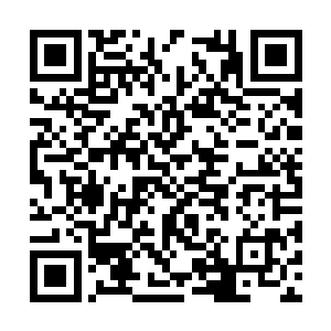 他们没有想到这些小辈们居然会做出这样的事情来二维码生成