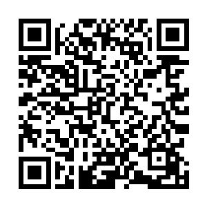 他们没有想到这青衣男子竟然在天赋测试的时候都敢藏拙二维码生成