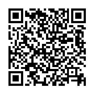 他们没有想到霍君白这么快又使出了自创的第二招绝招二维码生成