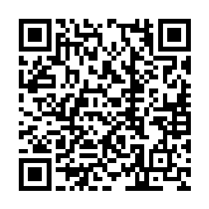 他们没有想到风奇泽这个时候居然还可以笑得出来二维码生成