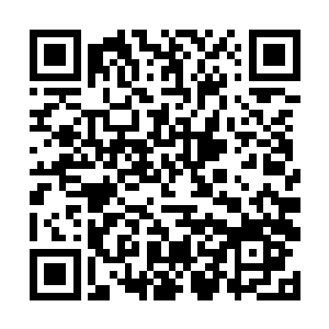 他们猜测今天的事情可能就是汪念林的父亲惹出来的二维码生成