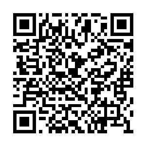 他们甚至从来没想过自己不会被选上……而现在二维码生成